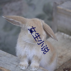 女生小说 （闲是闲非）