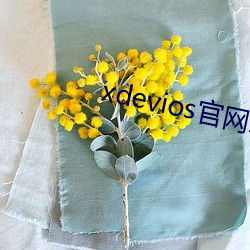 xdevios官网怎么进