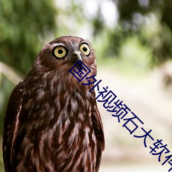 国外视频石大软(軟)件