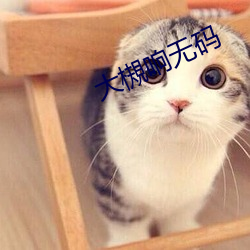 大槻响(xiǎng)无码