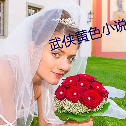 武侠黄色小(小)说