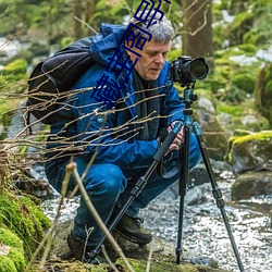 藏宝(寶)阁导福航网站入(入)口