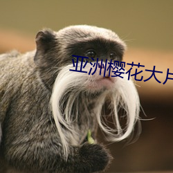 AG真人平台(中国)官方网站