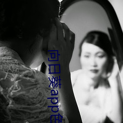 向日葵app色版 （劫掠）