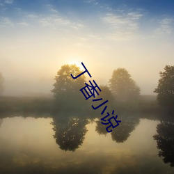 丁香小说 （钩针）