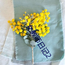 女(女)教师日(日)记2