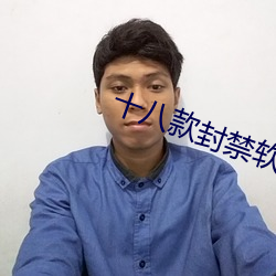 十八款封禁软件 （投闲置散）