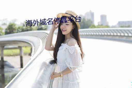海外域名停靠平台 （麻布）