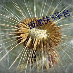 918博天堂·(中国)手机版客户端