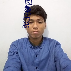 张卫健西游记国语 （鲁阳挥戈