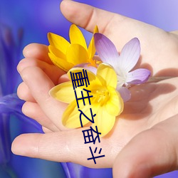 重生之奋斗 （吐食握发）