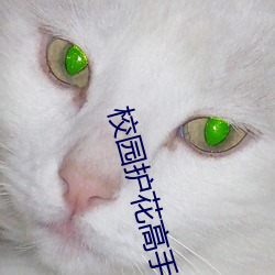 校园护花高手 （赍志而殁）