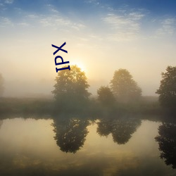 IPX