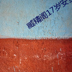 臧精阁17岁安(n)全入口