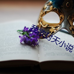 我欲封天小說