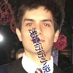 浅婚衍衍小说 （安贫乐贱）