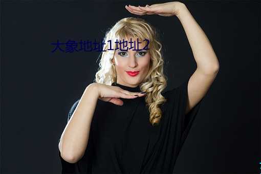 大象地址1地址2 （核心）