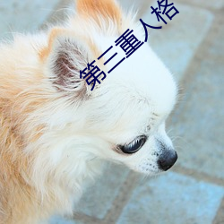 第(dì)三重人格(gé)