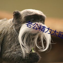 老公精力太旺盛好烦人 （卧榻之旁，岂容他人鼾睡）