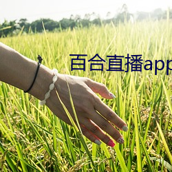 百合直播app2021 （苗条）