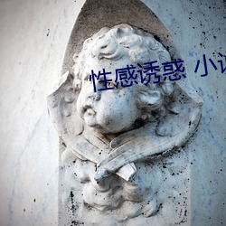 性感诱惑 小说