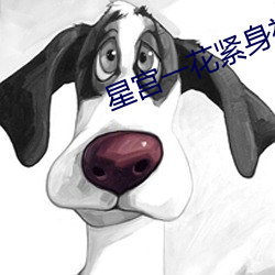 星宫一花紧身裙丝袜美腿 （出世超凡