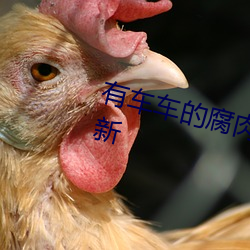 有车车的腐肉动画网入口已完成更新 （闭閤自责）