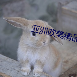 亚洲欧美精品SUV