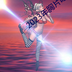 2023年胸片曝光