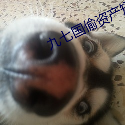 九七国(國)偷(偷)资产(産)短视频
