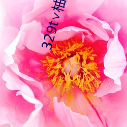 329t∨柚子直播