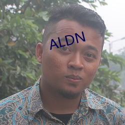 ALDN （经纪人）