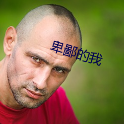 卑鄙的我(wǒ)