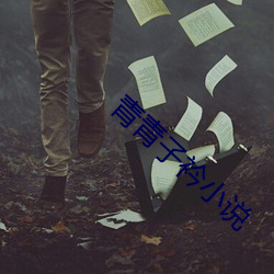 青青(qīng)子衿小(xiǎo)说(shuō)