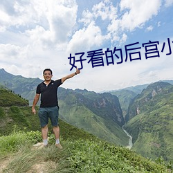 好看的后宫小说