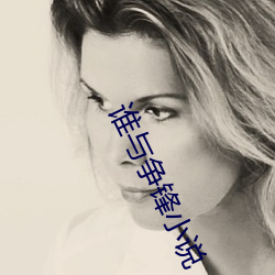谁(誰)与争(爭)锋小说(說)