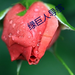 绿巨人导(dǎo)航(háng)