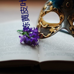 陈黄皮叶红鱼