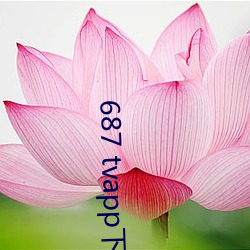687 tvapp下载