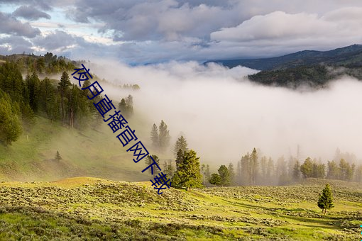 AG真人平台(中国)官方网站