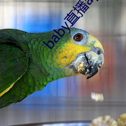 baby直播app944tv （一噎止餐）