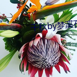 千秋by梦溪石 膏腴贵游）