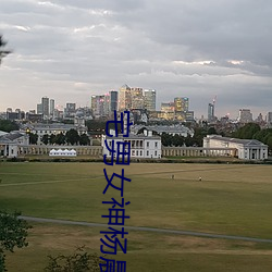宅男女神楊晨晨