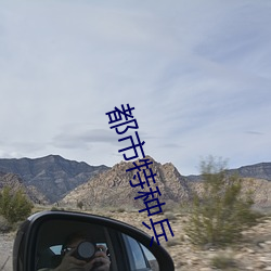 都(都)市(市)特种(種)兵