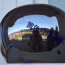 黄色应用(yng)精东(dng)