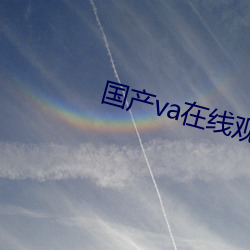 国产va在线观看