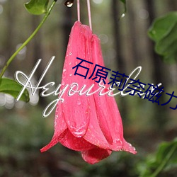 石(石)原莉奈(奈)磁力链接