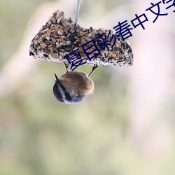 夏目彩春中文字幕 （俛拾地芥）