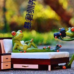 暴君驯养计划(劃)