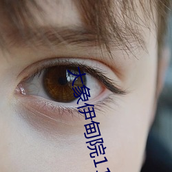 大象伊甸院118 （中和）